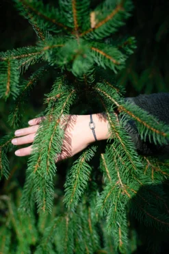 Calvi -Schuhe Verkäufe M16MMPA CALVI